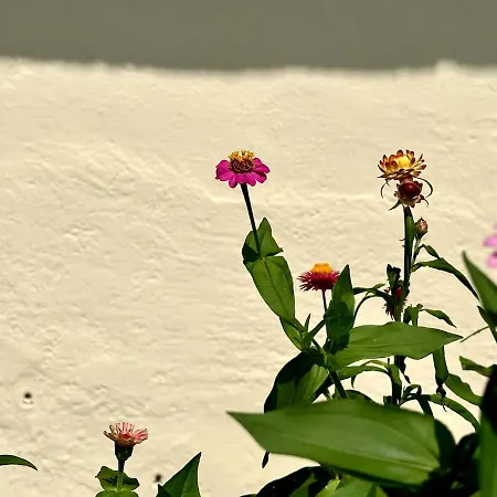 Residenza Renata Onno