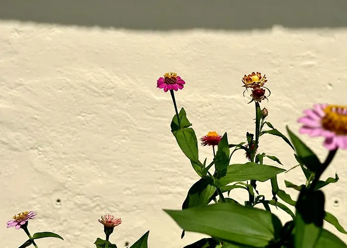 Residenza Renata Onno